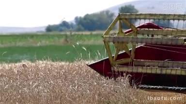 近距离拍摄收割成熟小麦的联合收割机